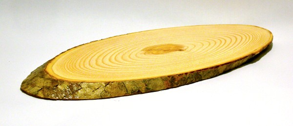 Rindenscheibe-oval natur 25-28cm